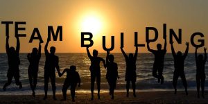 Tổ chức team building